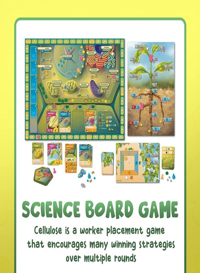Genius Games Cellulose: A Plant Cell Biology Game | Mensa Recommended Strategic & Entertaining Game to Learn Photosynthesis, DNA & Biochemistry | Educational STEM Board Game for Families, Students & Teachers - Image 4